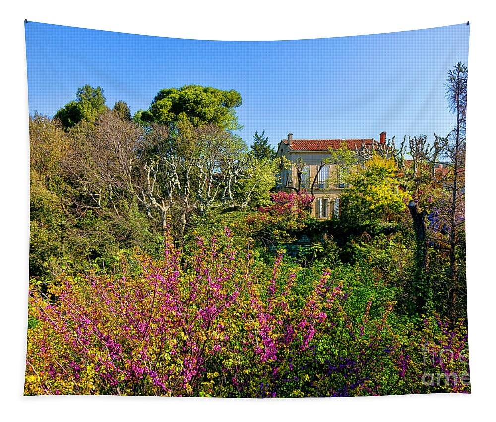 Provence Tapestry featuring the photograph An Old House in Provence by Olivier Le Queinec