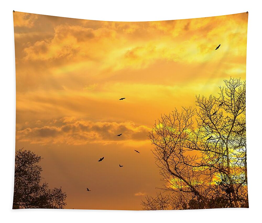 Sunsets Tapestry featuring the photograph And Watching The Sun Fall by Jan Amiss Photography