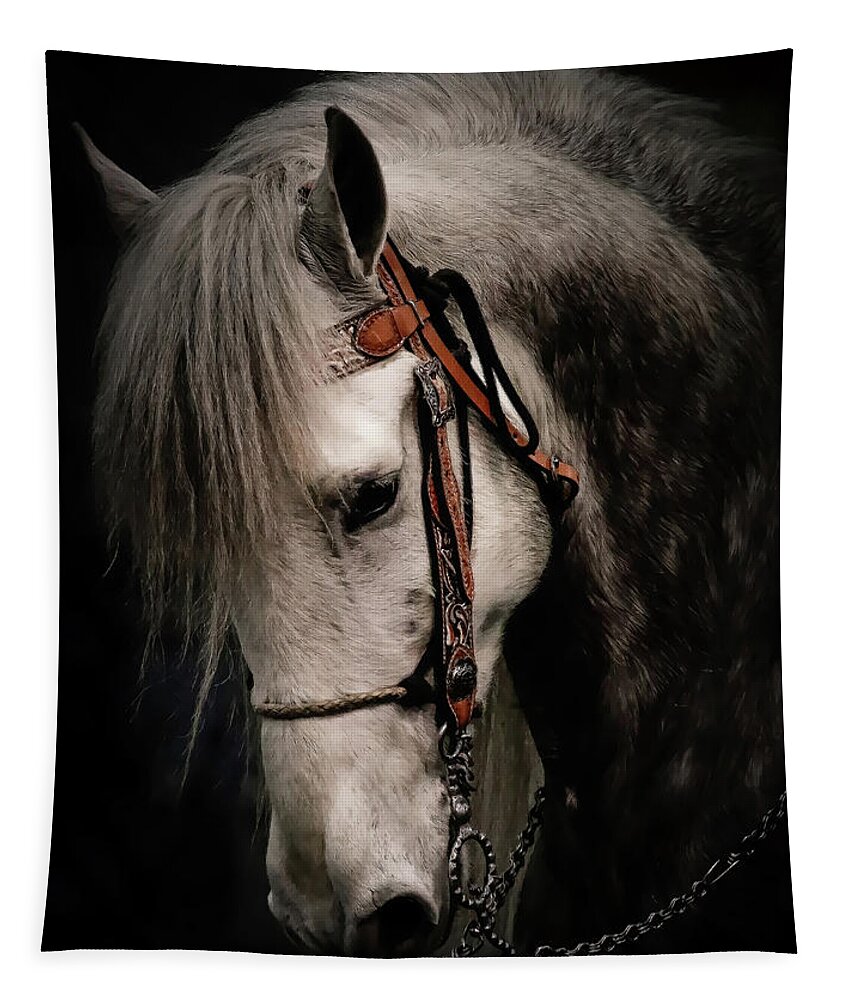Andalusian Tapestry featuring the photograph Andalusian Horse by Athena Mckinzie