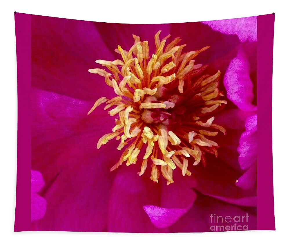 Beauty Tapestry featuring the photograph Anemone by Denise Railey