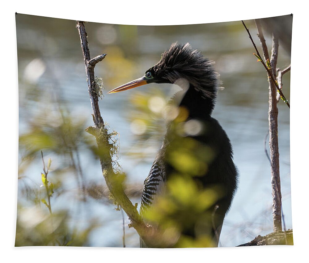 Anhinga Tapestry featuring the photograph Anhinga 3 March 2018 by D K Wall