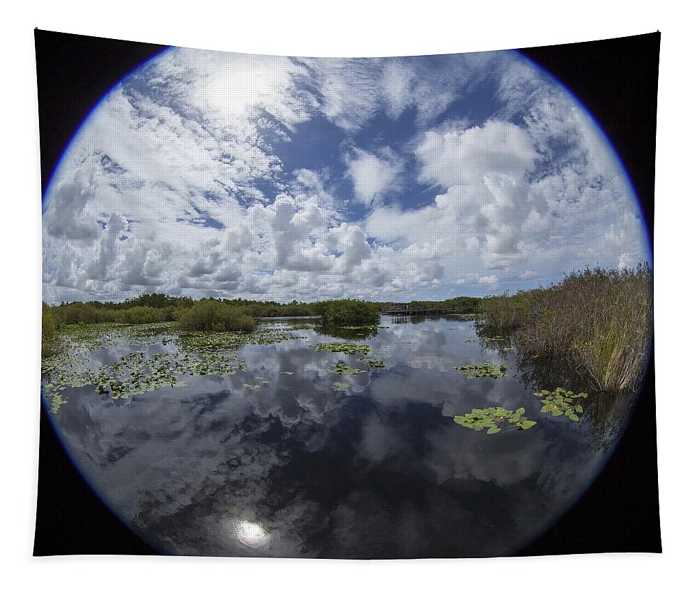 Fisheye Tapestry featuring the photograph Anhinga Trail 86 by Michael Fryd