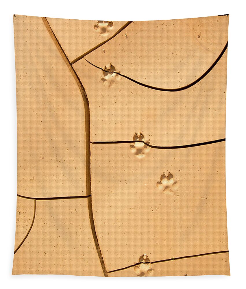 Global Warming Tapestry featuring the photograph Animal Footprints In Dried Mud  by Alon Meir