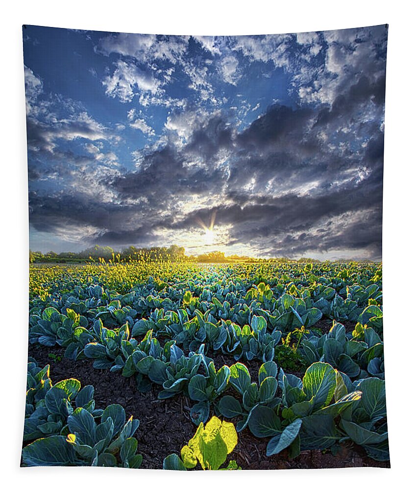 Summer Tapestry featuring the photograph Ankle High in July by Phil Koch