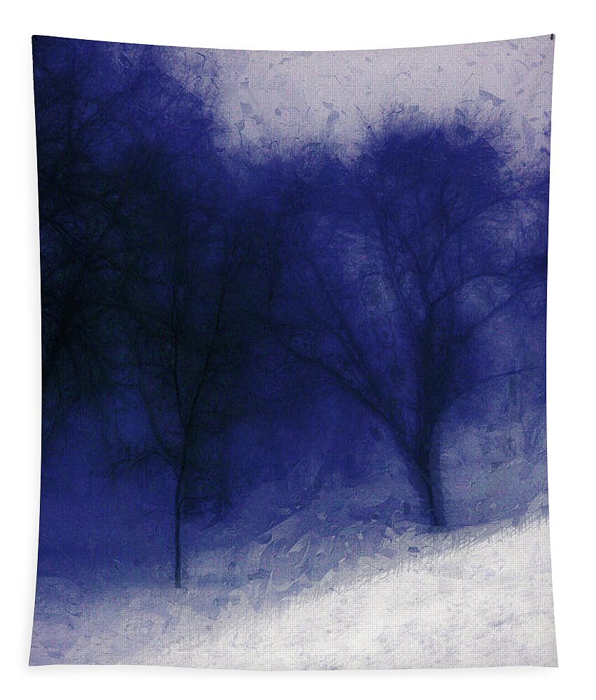 Landscape Tapestry featuring the photograph Another Blue Day by Julie Lueders 