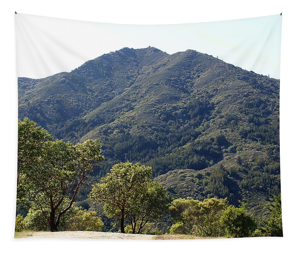 Mount Tamalpais Tapestry featuring the photograph Another Side of Tam 2 by Ben Upham III