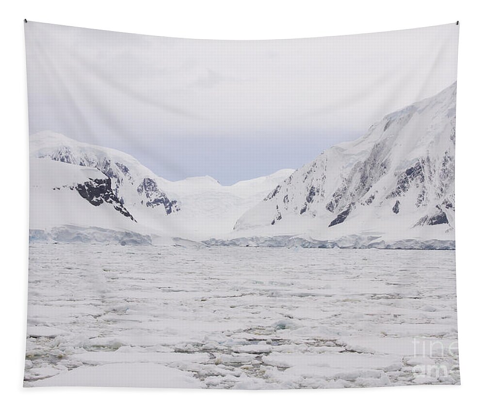 Antarctic Tapestry featuring the photograph Antarctic coast with glaciers and field of pack ice by Karen Foley