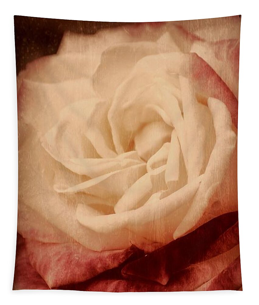 Roses Tapestry featuring the photograph Antique Rose - In Full Bloom by Angie Tirado