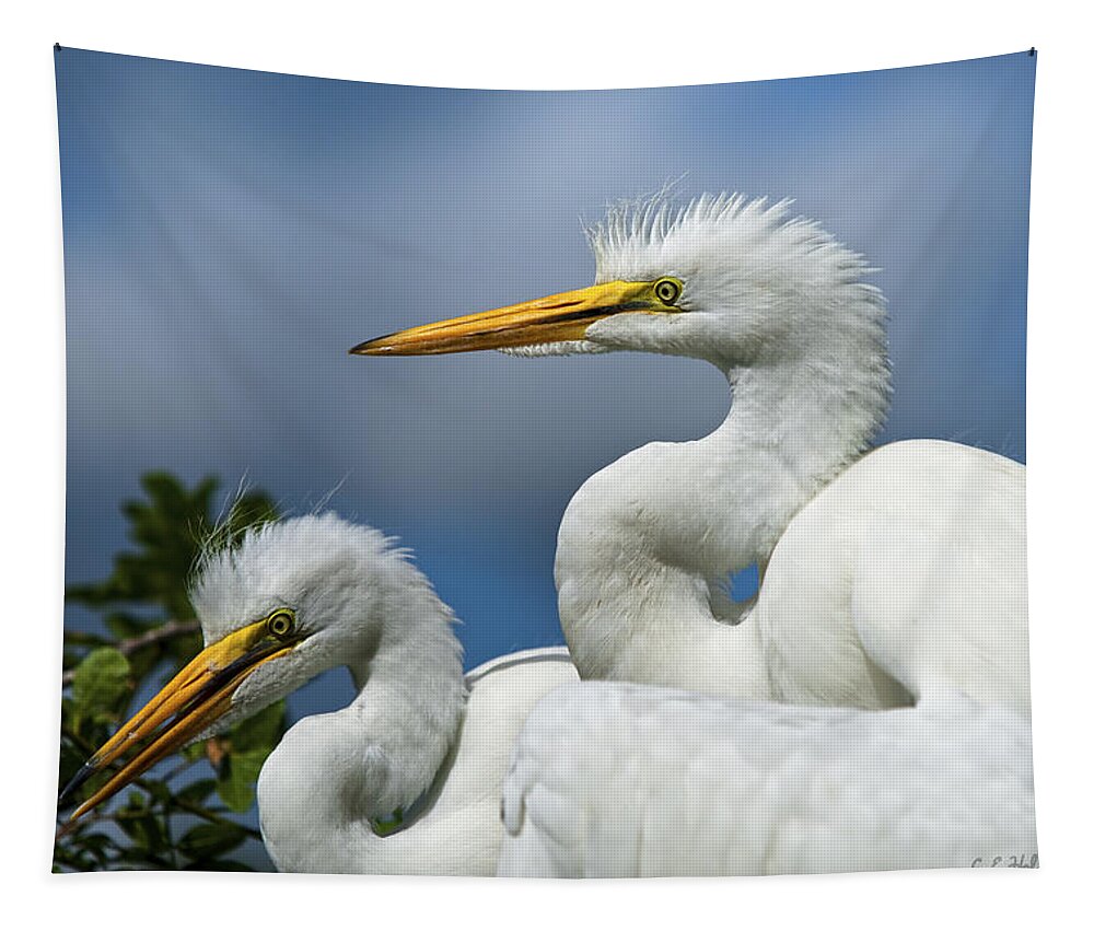 Egret Tapestry featuring the photograph Anxiously Waiting by Christopher Holmes
