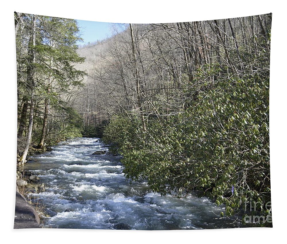Streams Tapestry featuring the digital art Appalachian Mountain Water 2 by Barb Dalton