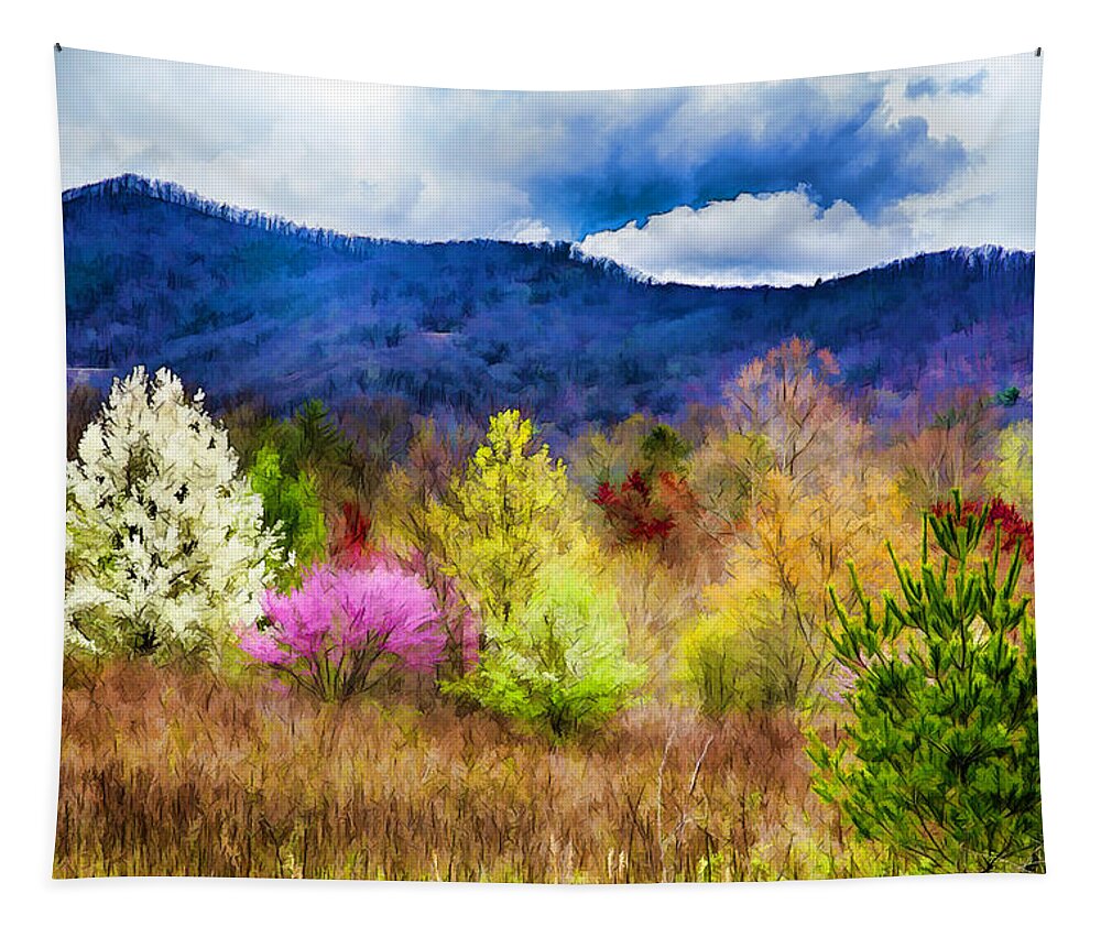 Trees Tapestry featuring the photograph Appalachian Spring in the Holler by John Haldane