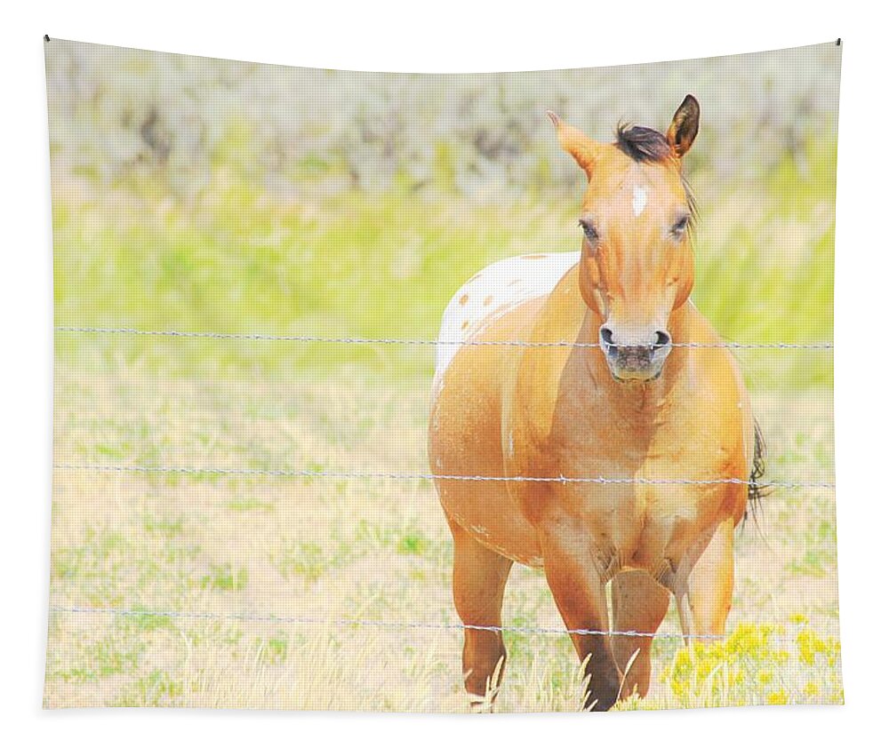 Horse Tapestry featuring the photograph Appaloosa by Merle Grenz