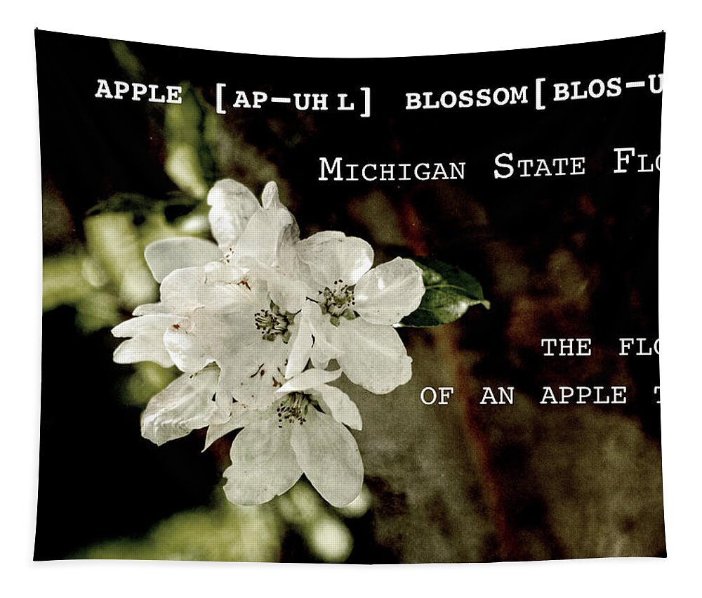 Apple Blossom Tapestry featuring the photograph Apple Blossom by Definition Michigan by Sharon Popek