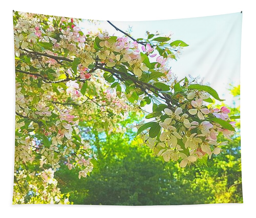 Appleblossom Tapestry featuring the photograph Apple Blossom Haze by Rowena Tutty