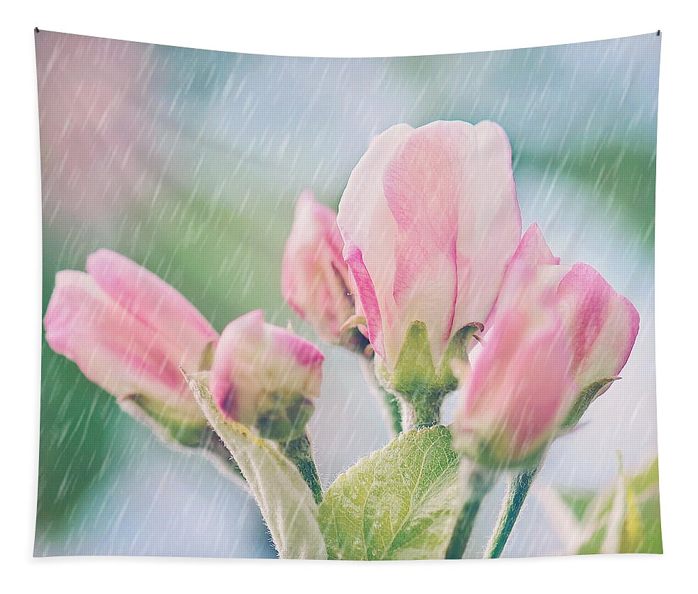 Apple Blossoms In The Rain Print Tapestry featuring the photograph Apple Blossoms in the Rain 12x12 Crop Print by Gwen Gibson
