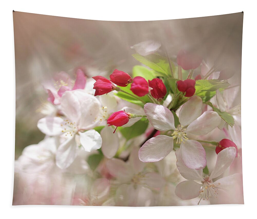 Apple Buds Tapestry featuring the photograph Apple Buds by Evelyn Tambour