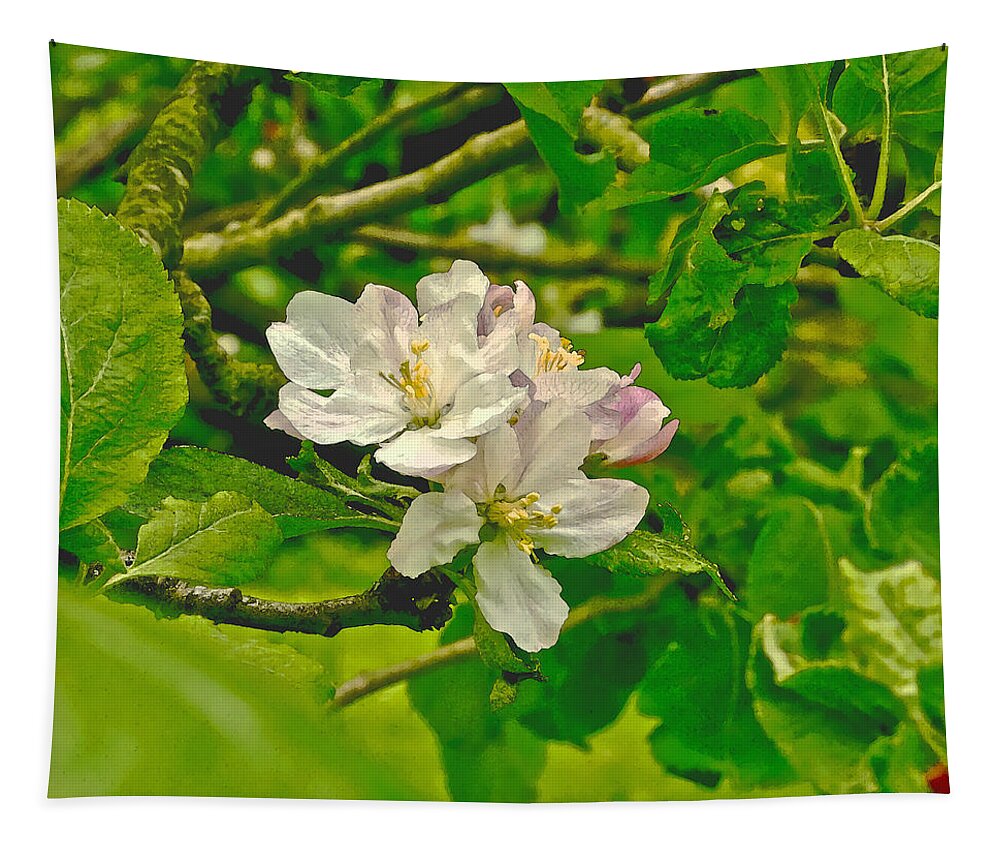 Apple Flowers Tapestry featuring the photograph Apple Flowers. by Elena Perelman