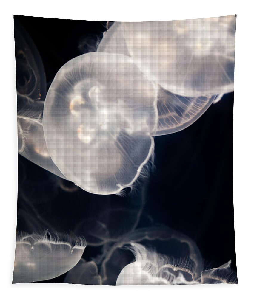 Aquarium Of The Pacific Tapestry featuring the photograph Aquarium of the Pacific Jumping Jellies by Kyle Hanson