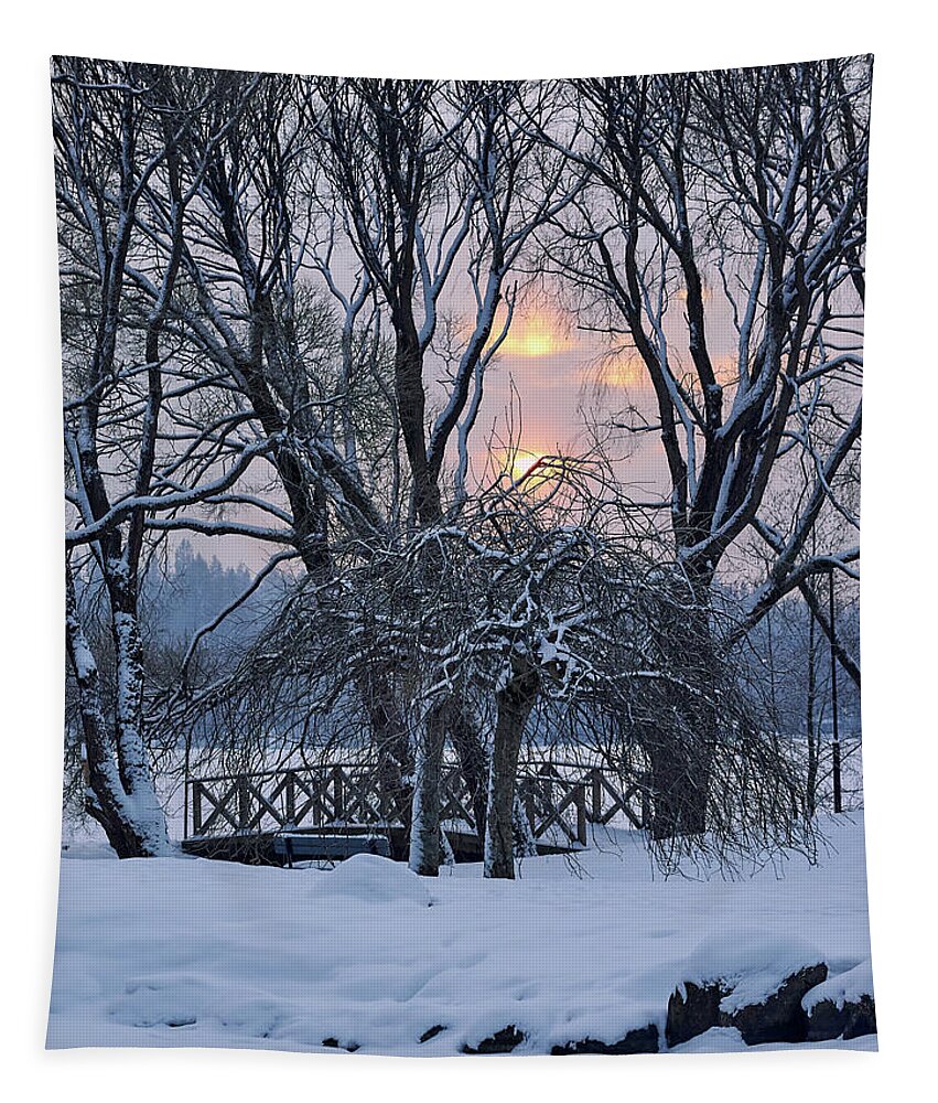 Finland Tapestry featuring the photograph Arboretum sunset by Jouko Lehto