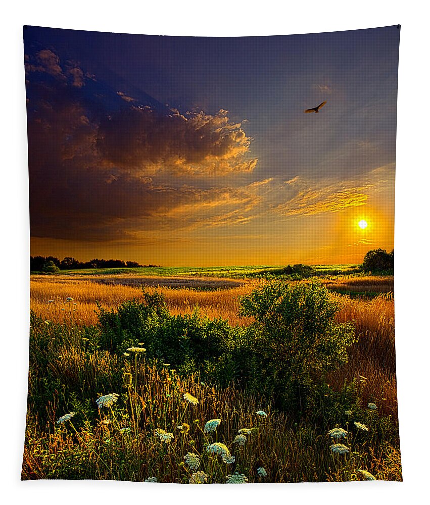 Horizons Tapestry featuring the photograph Aridity by Phil Koch