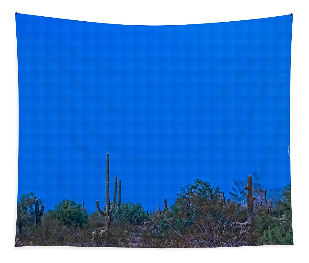 Arizona Tapestry featuring the photograph Arizona Desert Landscape by James BO Insogna