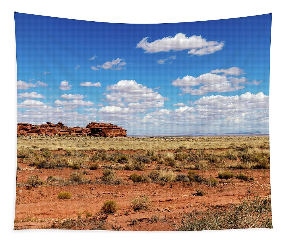Horizontal Tapestry featuring the photograph Arizona by Doug Long