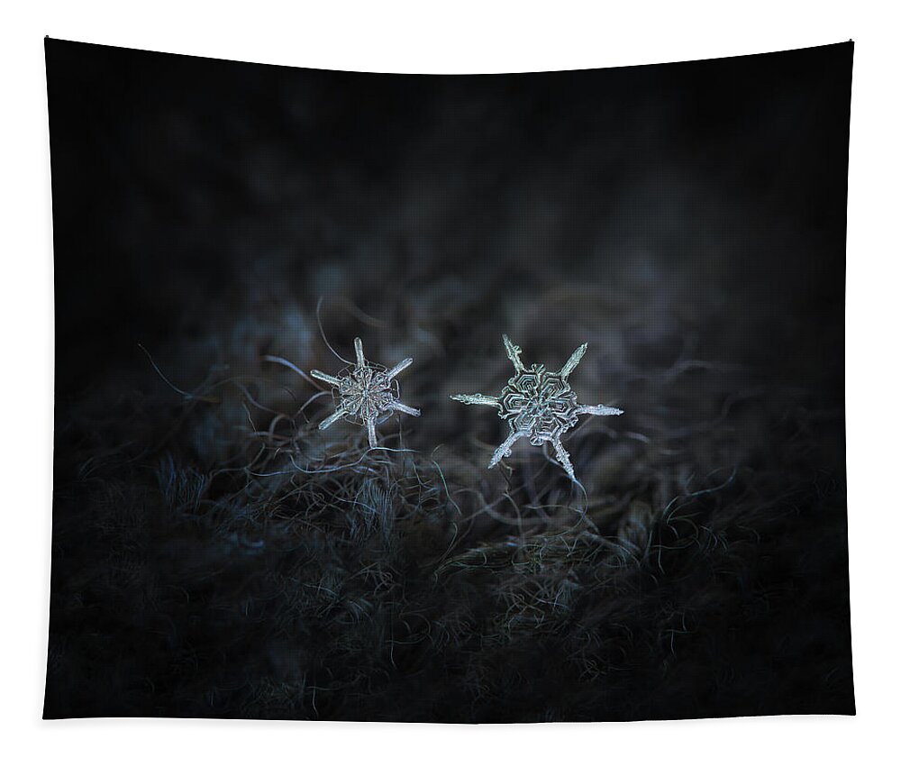 Snowflake Tapestry featuring the photograph Snowflake photo - When winters meets by Alexey Kljatov