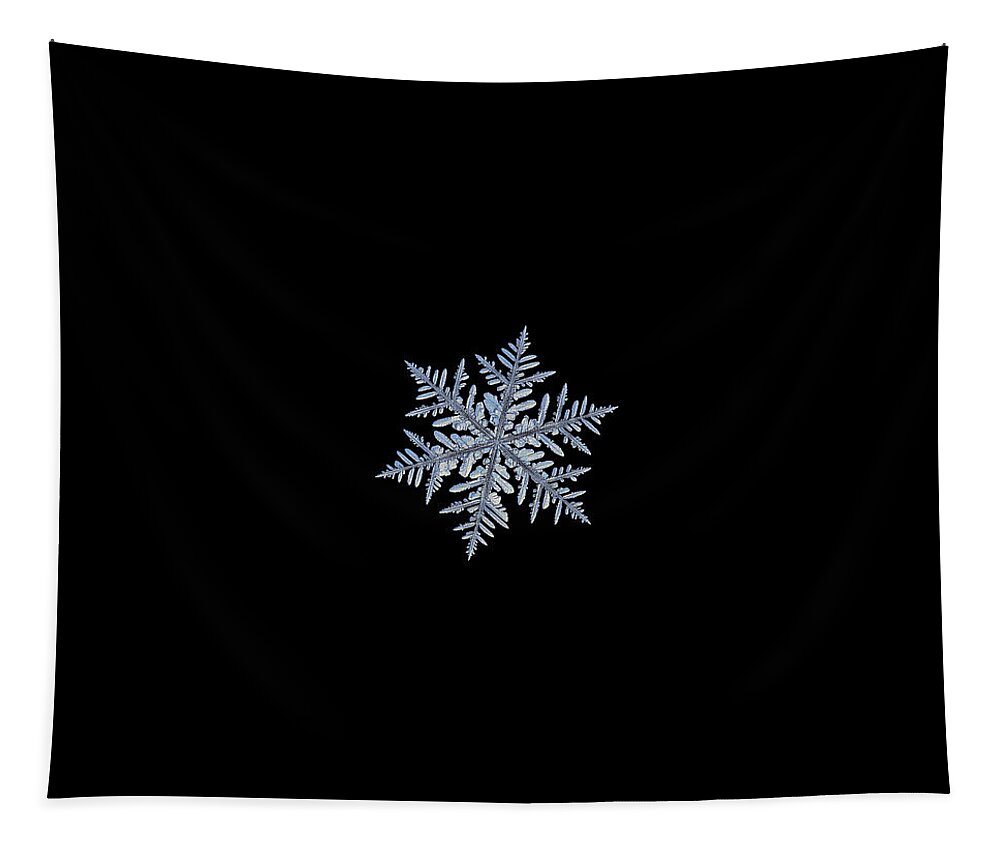 Snowflake Tapestry featuring the photograph Real snowflake - Silverware black by Alexey Kljatov