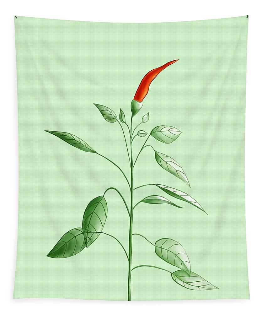 Chili Tapestry featuring the digital art Hot Chili Pepper Plant Botanical Illustration by Boriana Giormova