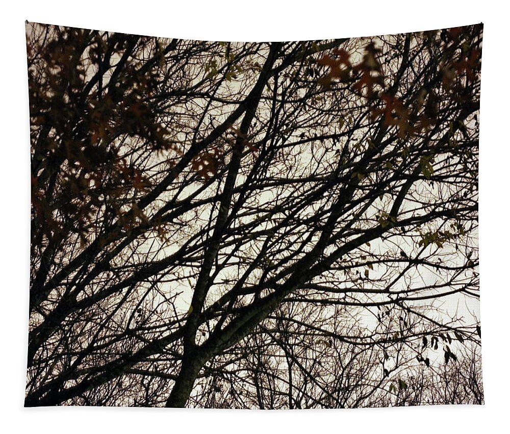 Contrast Tapestry featuring the photograph Nature In Harmony by K R Burks