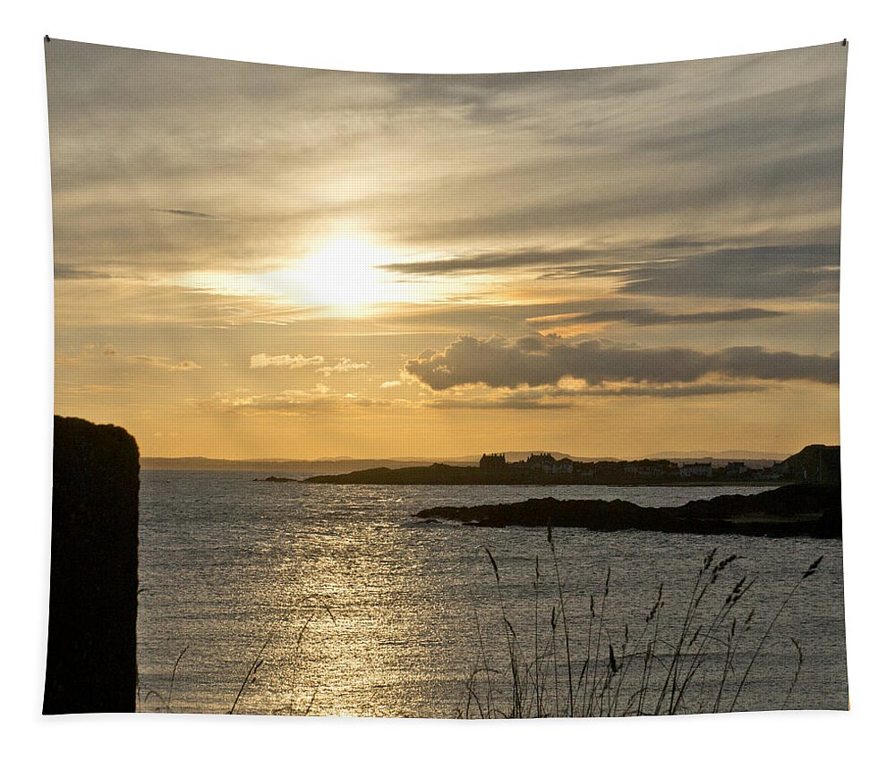 Sunny Evening Tapestry featuring the photograph As Grass in the Wind. by Elena Perelman