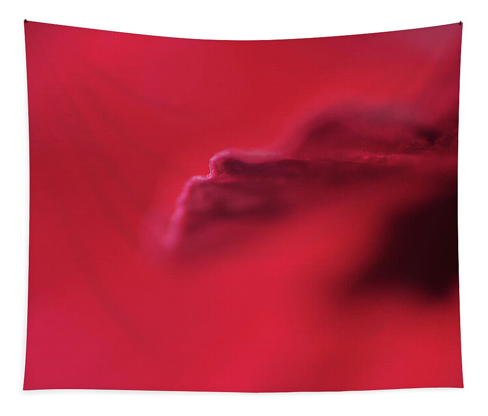 Red Tapestry featuring the photograph As Red as Can be by Randi Grace Nilsberg