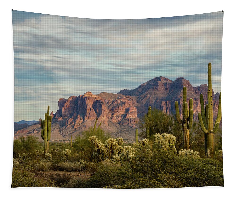 Superstition Mountains Tapestry featuring the photograph As The Evening Arrives in The Sonoran by Saija Lehtonen