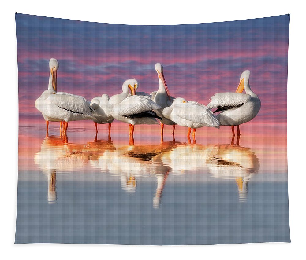 Pelican Tapestry featuring the photograph As The Sun Goes Down by Kim Hojnacki