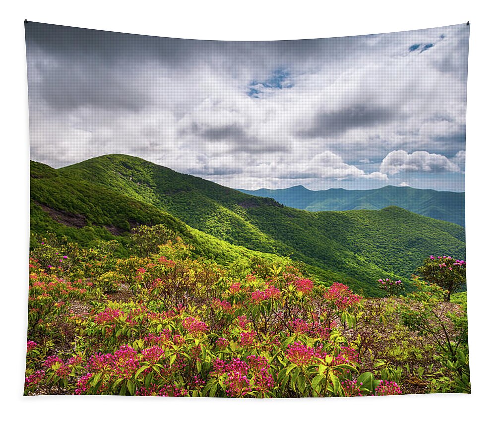 Asheville Tapestry featuring the photograph Asheville NC Blue Ridge Parkway Spring Flowers North Carolina by Dave Allen