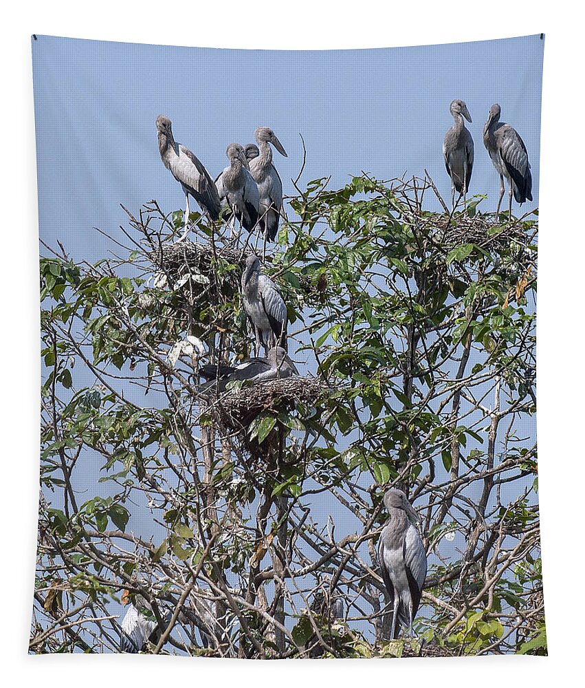 Bird Tapestry featuring the photograph Asian Openbill Stork Rookery DTHN0197 by Gerry Gantt