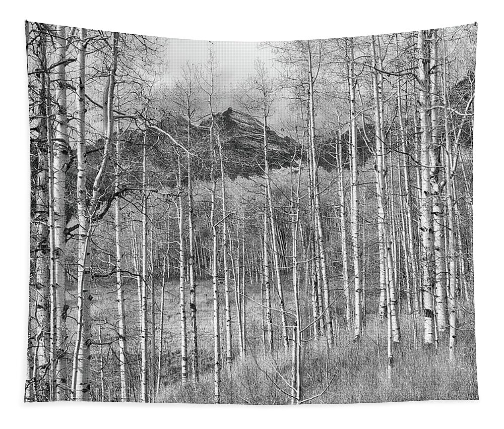 Colorado Tapestry featuring the photograph Aspen Ambience Monochrome by Eric Glaser