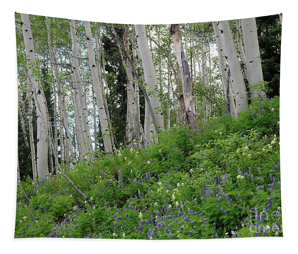 Aspen Tapestry featuring the digital art Aspen Ferns and Flowers 3 by Constance Woods