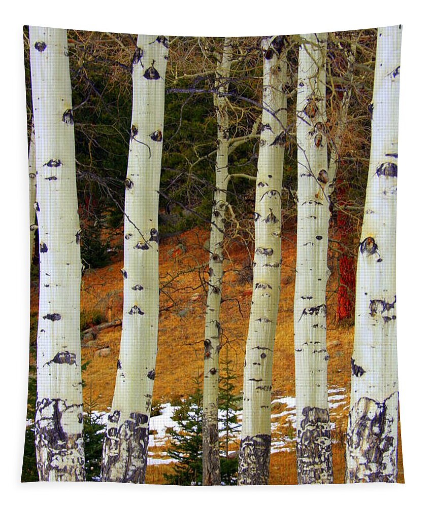Aspens Tapestry featuring the photograph Aspens of white by Julie Lueders 