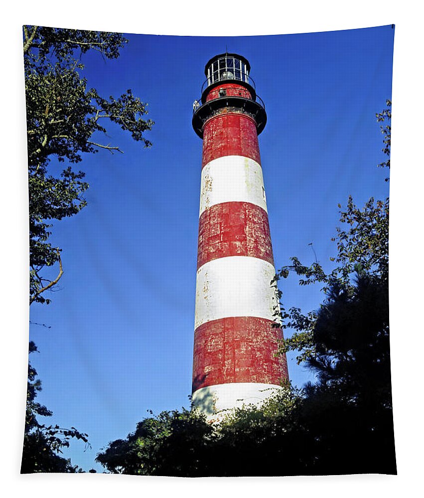 Assateague Lighthouse Tapestry featuring the photograph Assateague Lighthouse by Sally Weigand