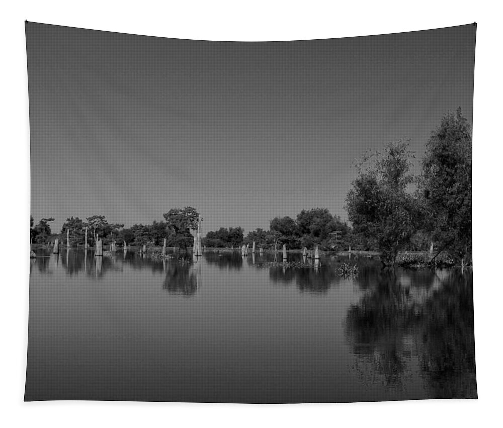 Tree Tapestry featuring the photograph Atchafalaya Basin 15 Southern Louisiana by Maggy Marsh