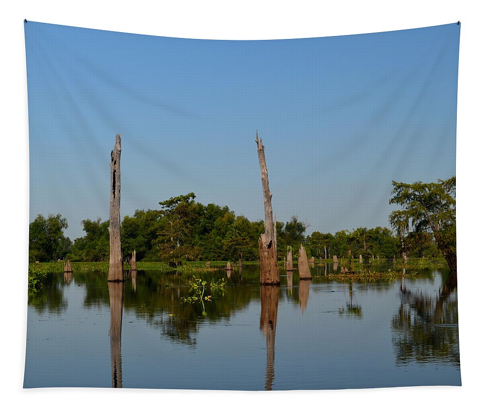 Tree Tapestry featuring the photograph Atchafalaya Basin 18 Southern Louisiana by Maggy Marsh