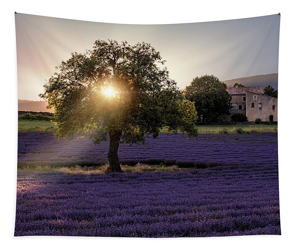 Aurel Tapestry featuring the photograph Aurel - France by Joana Kruse