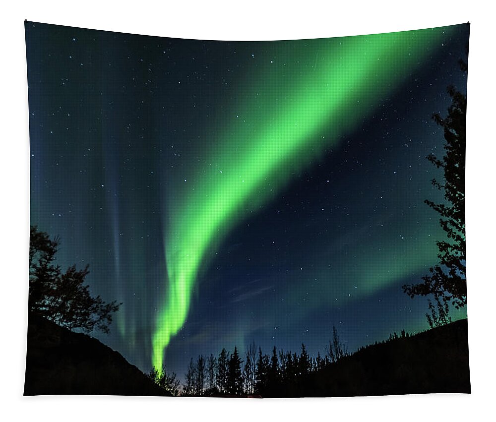 Alaska Tapestry featuring the photograph Aurora Borealis, Northern Lights in Denali National Park by Brenda Jacobs