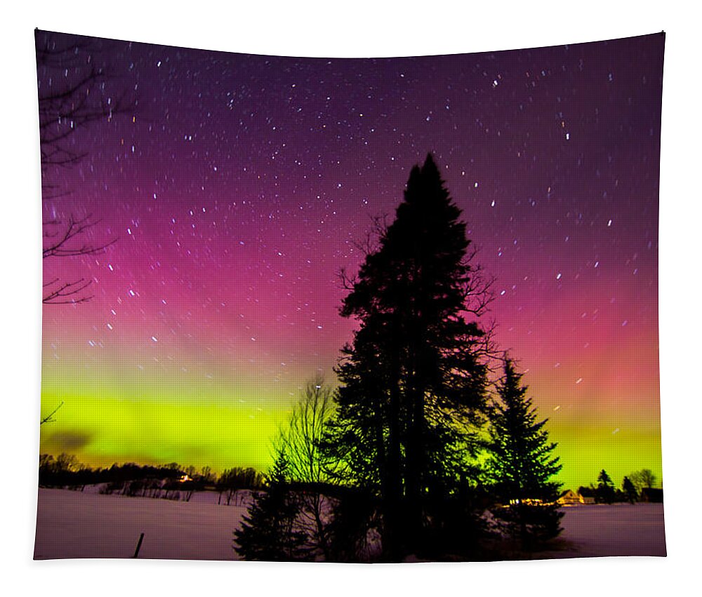 Aurora Tapestry featuring the photograph Aurora with Spruce Tree by Tim Kirchoff