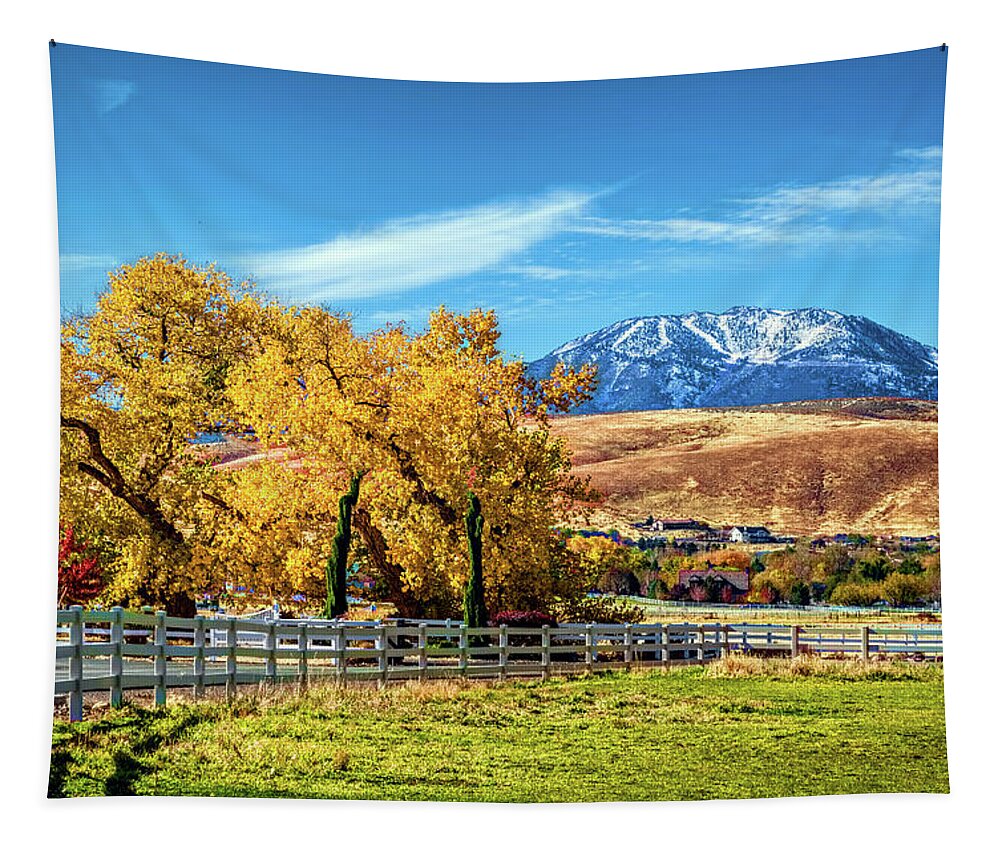 Autumn Tapestry featuring the photograph Autum Pasture by Maria Coulson