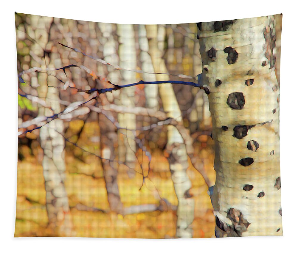 Theresa Tahara Tapestry featuring the photograph Autumn Birch by Theresa Tahara