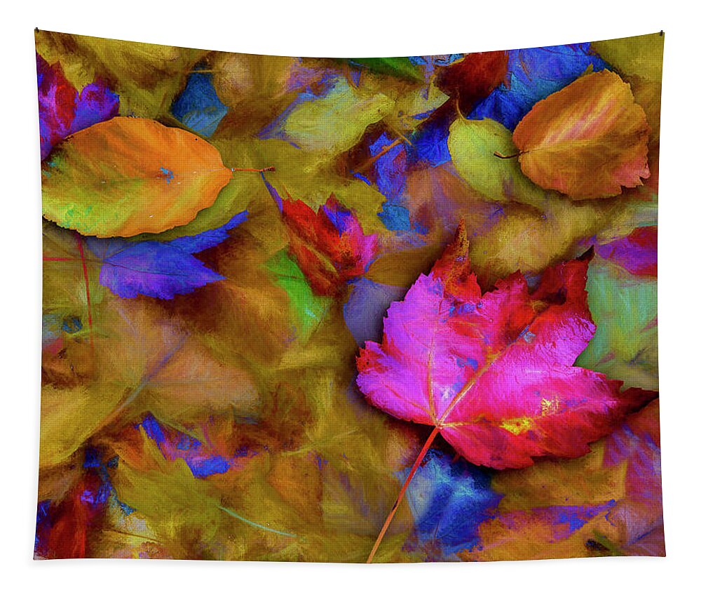 Autumn Breeze Tapestry featuring the photograph Autumn Breeze by Paul Wear