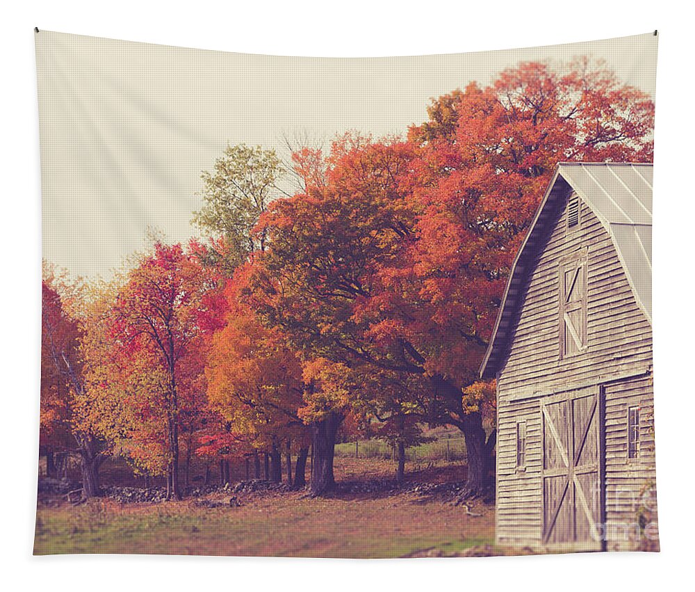 Wood Tapestry featuring the photograph Autumn Color on the Old Farm by Edward Fielding