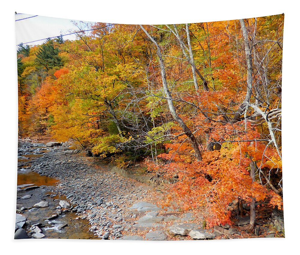 Autumn Creek Tapestry featuring the painting Autumn creek 2 by Jeelan Clark